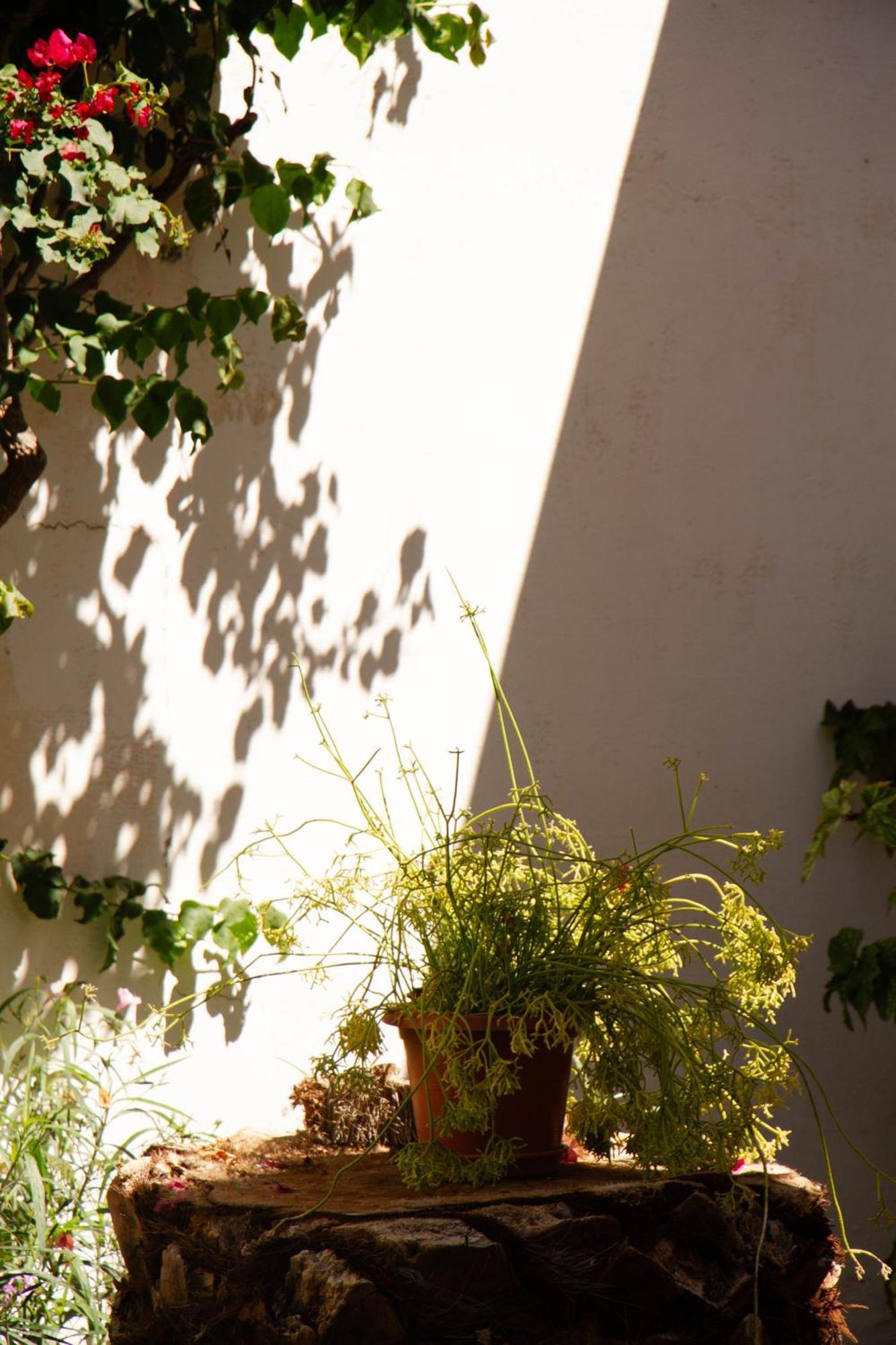 Hotel Killa Cafayate Exterior photo